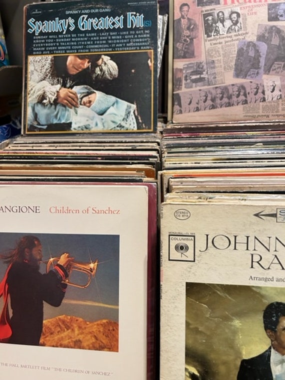 10- Random 12” Vintage Vinyl Record Albums. Gift for Music