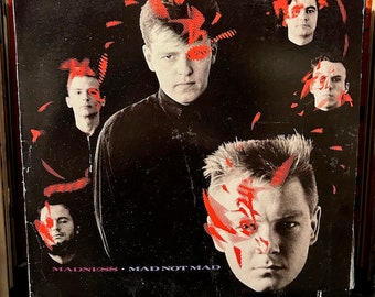 Wild Brooklyn Bandits Black Madness Vinyl Album, 1993 Edition - Etsy