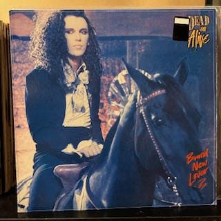 DEAD OR ALIVE ブランド・ニュー・ラヴァー ピクチャーレコード　LP Dead or Alive-