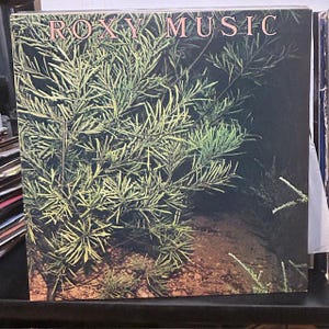 May include: Album cover for Roxy Music. The album art features the band's name in pink lettering at the top. The image is dominated by a close-up of green and yellow-green foliage against a dark background.