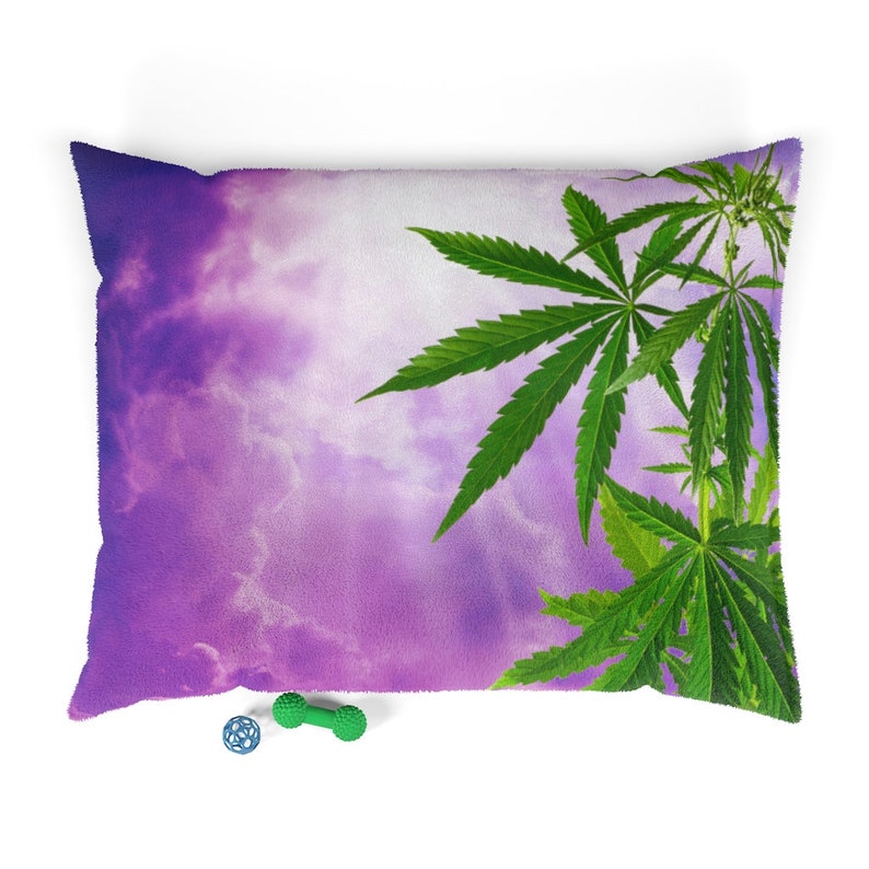 May include: A purple and white pillow with a green marijuana leaf design. The pillow is on a white background.