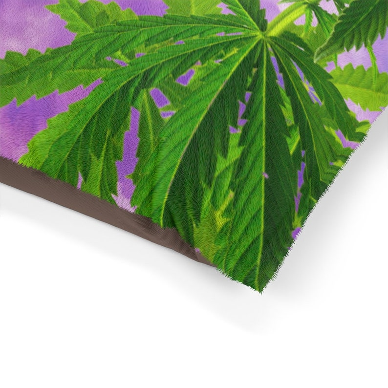 May include: A close-up of a dog bed featuring a purple and green leafy design. The bed is made from a soft, plush material and has a brown border.
