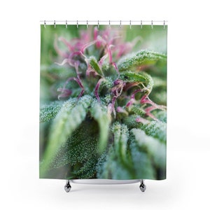 Blooming With Purple Cannabis/Cannabis Shower Curtain/Marijuana Shower Curtain/Cannabis Home Decor/Marijuana Home Decor/Cannabis/Marijuana