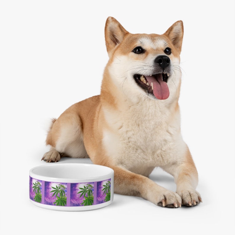 May include: White ceramic dog bowl featuring a purple and green marijuana leaf design. A Shiba Inu dog is sitting beside the bowl.