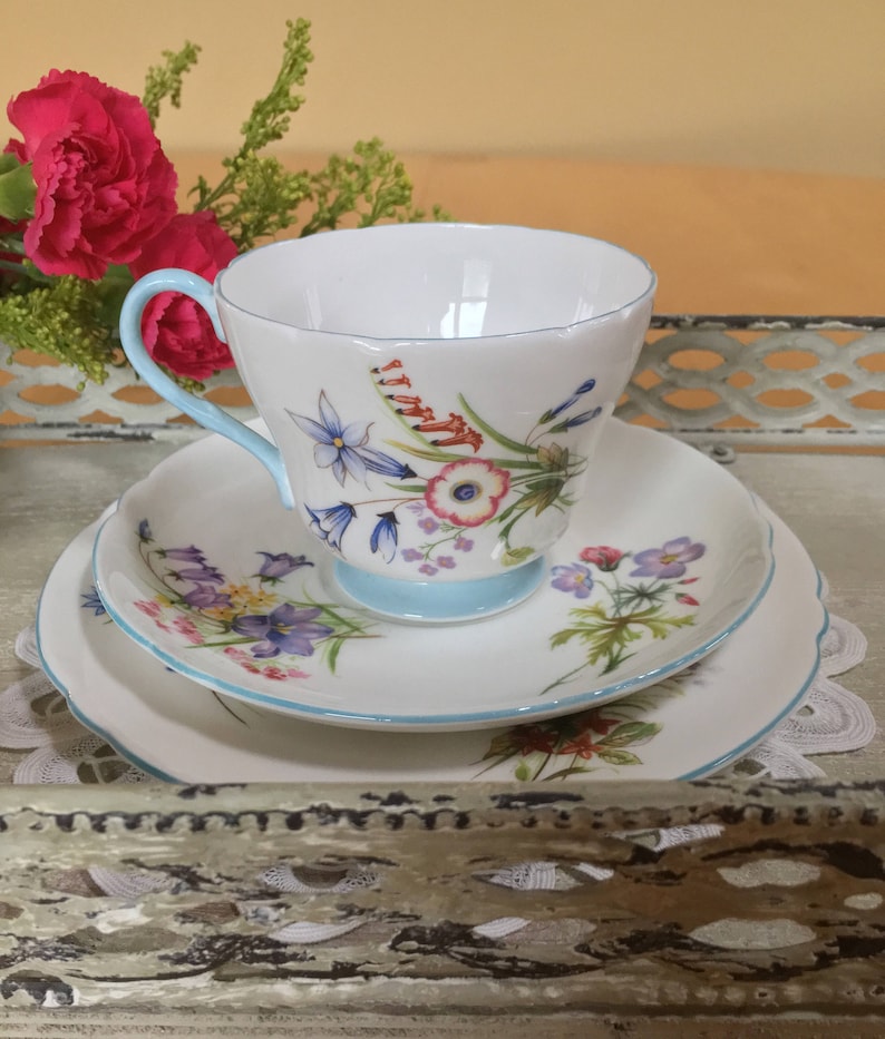 Shelley Teacup Trio Wild Flowers Pattern 13668 Bone China Etsy