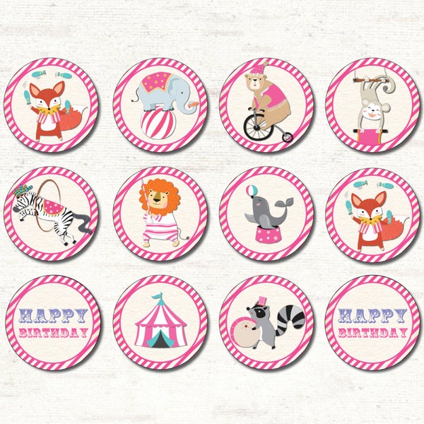 Circus Birthday Cupcake Toppers. Girl CARNIVAL Decorations. Vintage Party Favors. Retro Carnival Tags. Girls. Pink and Purple. CAR2