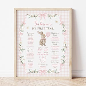 Some Bunny is One Birthday Milestone Sign: Pink Gingham First Year Editable Template, BUN12