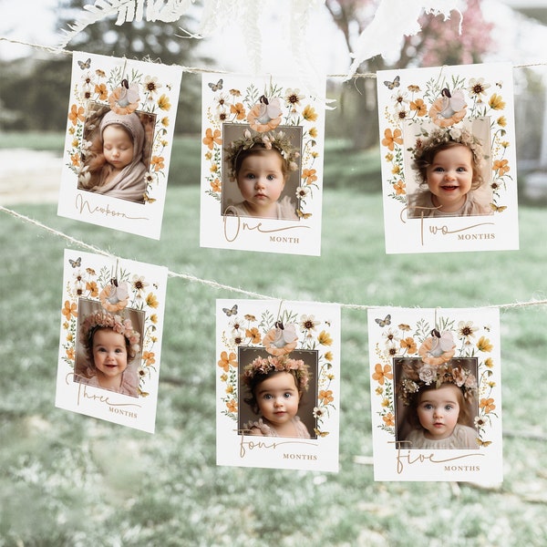 Fall Fairy First Birthday Photo Banner Boho Wildflower Fairy 1st Birthday Monthly Milestone Autumn Photo Cards Banner EDITABLE TEMPLATE FA7