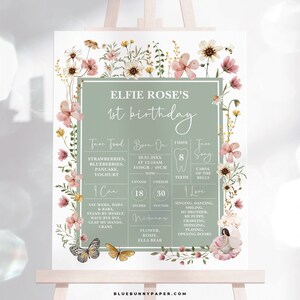 Placa de marco do primeiro aniversário da fada verde sálvia, placa de quadro do primeiro aniversário da fada das flores silvestres, download de pôster EDITÁVEL do Enchanted One, FA5