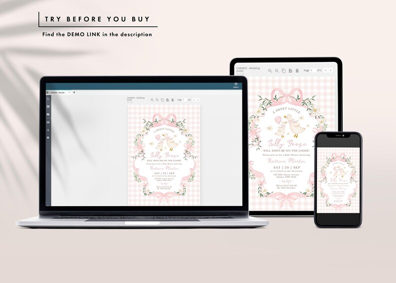 May include: A baby shower invitation design displayed on a laptop, tablet, and smartphone. The invitation features a pink and white gingham background with floral and bow accents. The text reads "A Sweet Little Sally Goose".