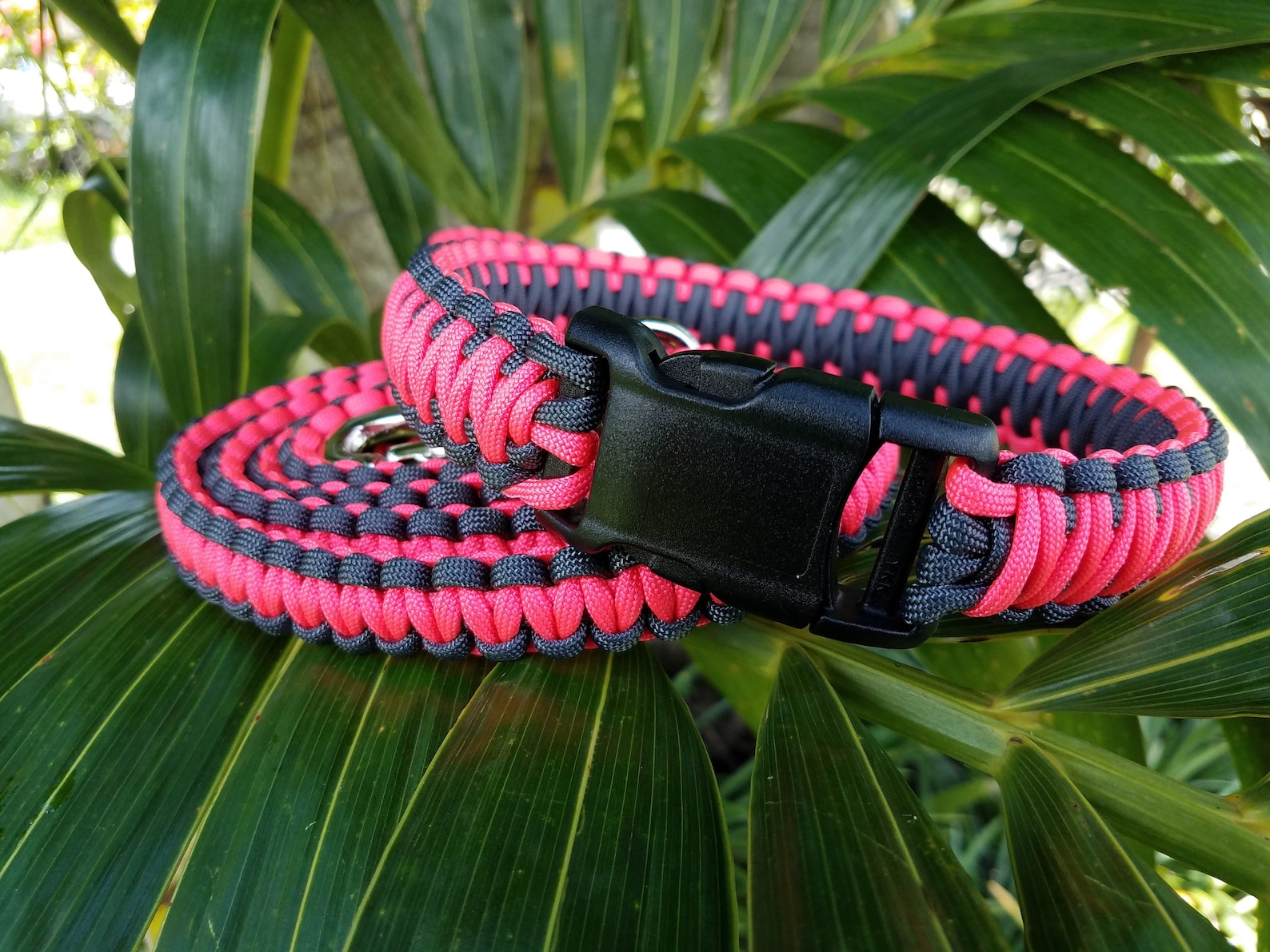 Matching Paracord Dog Leash and Collar Dog Leash and Collar Etsy