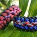 see more listings in the Paracord Bracelets section