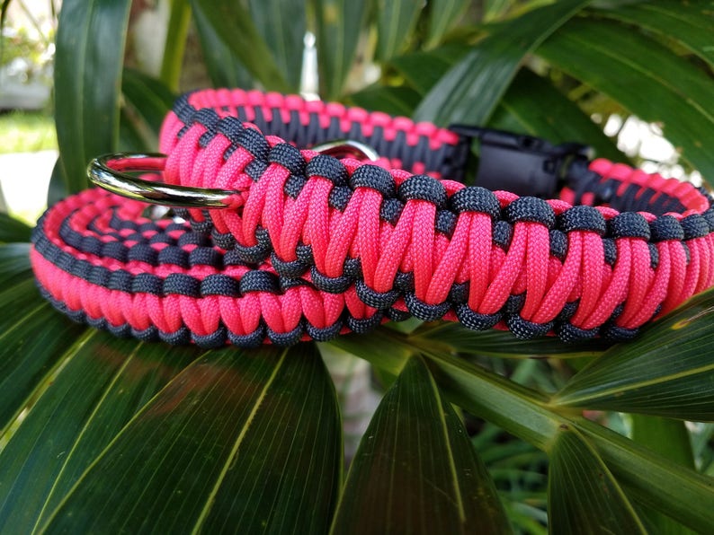 Matching Paracord Dog Leash and Collar Dog Leash and Collar Etsy