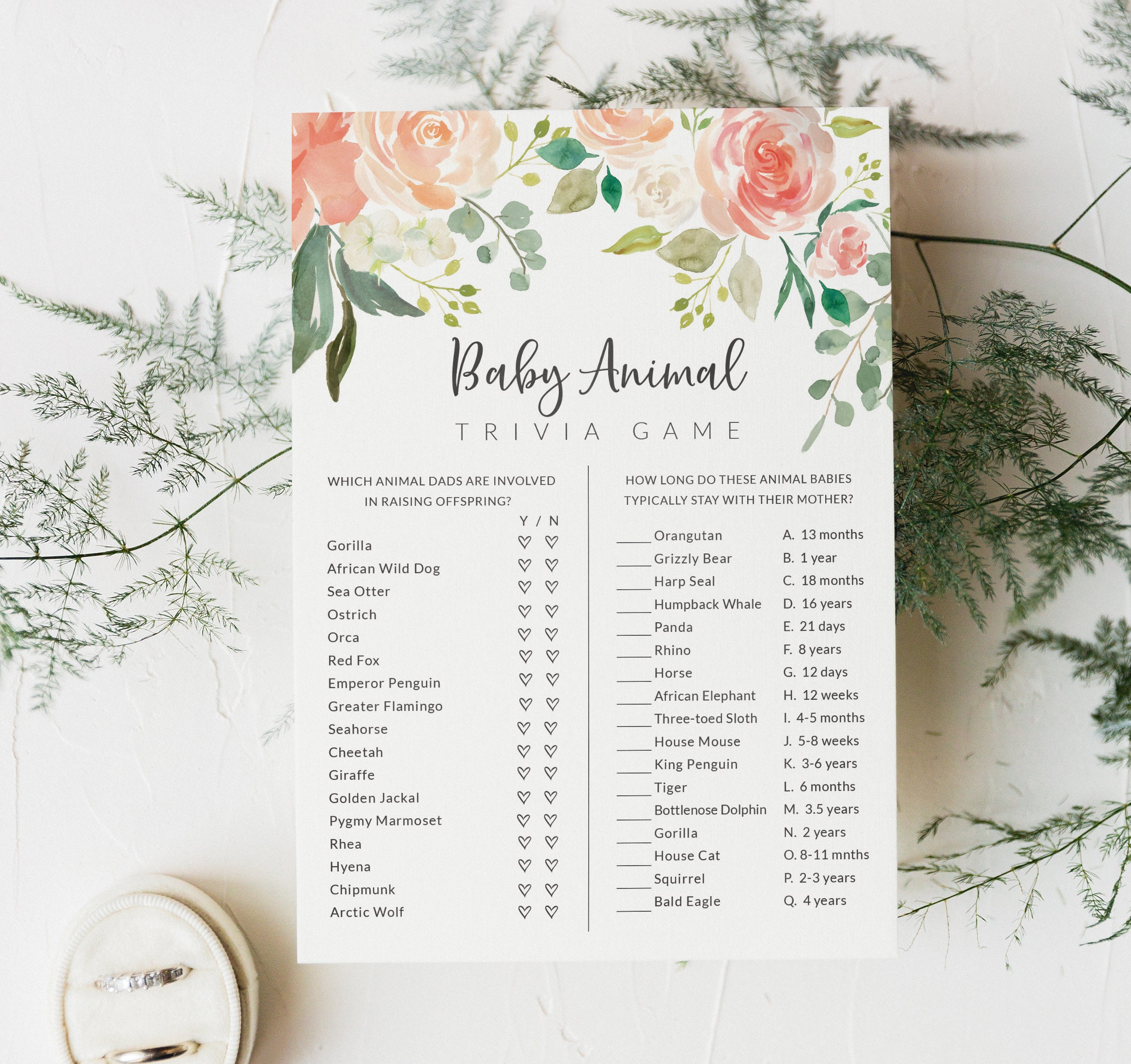 Baby Shower Trivia Game - Baby Animal Quiz Game - Peach Floral Baby ...