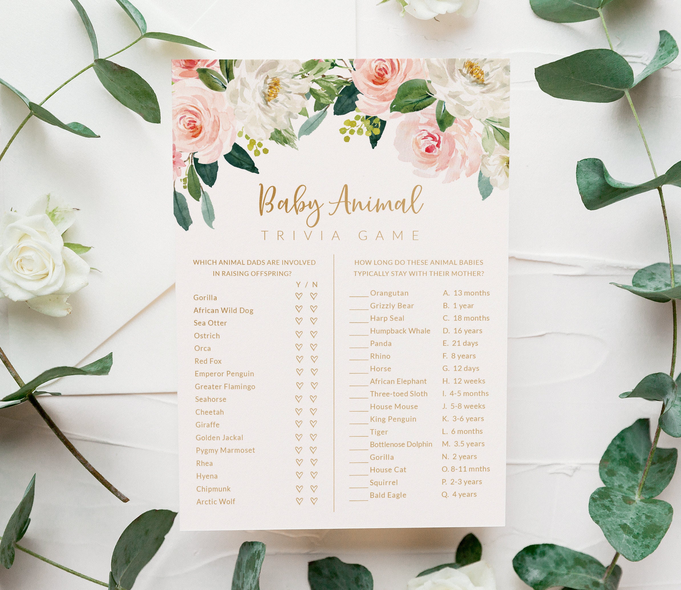 Baby Animal Trivia Game Girl Baby Shower Games Mom and - Etsy Baby Animal Trivia Game Girl Baby Shower Games Mom and - Etsy