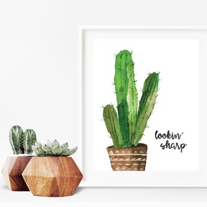 May include: A watercolour painting of a cactus in a brown pot with the text "lookin' sharp" below it. The cactus is green and has a spiky texture. The pot has a geometric pattern.