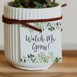 Etiquetas de regalo de Watch Me Grow - Etiquetas de regalo de suculentas - Etiquetas de regalo de plantas - Regalos de baby shower - Baby Shower de género neutro - Baby Shower con vegetación