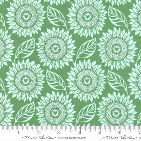 Sunflowers In My Heart Tournesol Large Floral Sunflowers Shamrock Green Yardage (44" x 45") Wide by Kate Spain for Moda Fabrics #27321-14