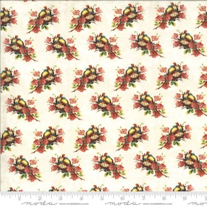 Flea Market Mix Collection Nesting Birds Cream Reproduction Yardage by Cathe Holden for Moda Fabrics #7355-11D ~ 100% Cotton