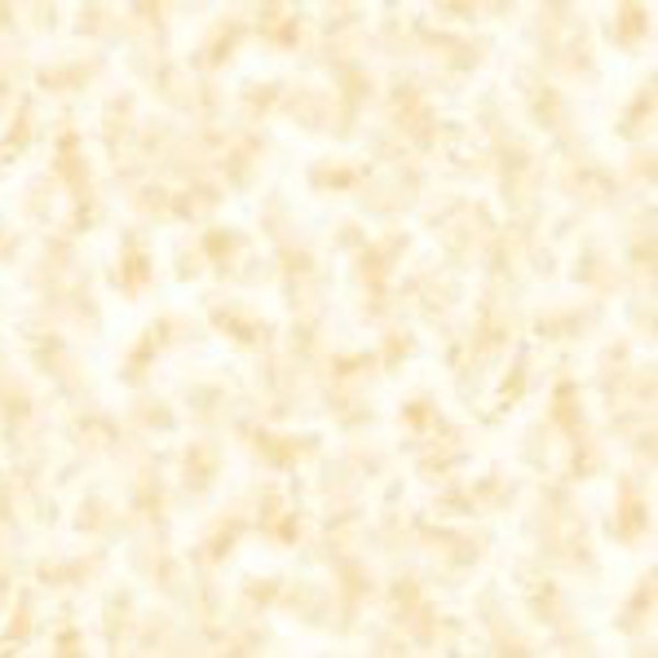 All Texas Shop Hop Collection Cream Tonal Blender Yardage (44" x 45") Wide by QT Fabrics #288 CREAM 100% Cotton