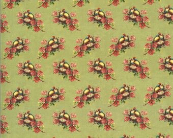 Flea Market Mix Collection Nesting Birds Pistachio Light Green Yardage by Cathe Holden for Moda Fabrics #7355 14D