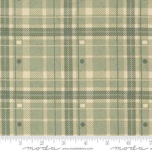 May include: A close-up of a fabric with a plaid pattern in shades of green and cream. The plaid design features intersecting lines forming squares and rectangles. Small, dark green dots are evenly spaced throughout the fabric. The fabric has a textured appearance.