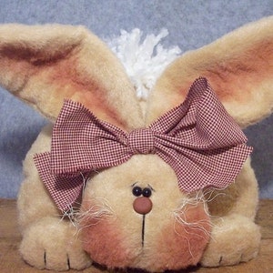 May include: A plush bunny rabbit toy with a red and white gingham bow. The bunny has a white fluffy tail and brown eyes.