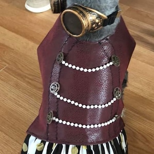 Steam punk dog dress