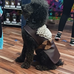 Dog Viking coat