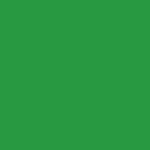 May include: A plain, solid green background. The image is a flat, uniform field of a bright, medium green colour. The colour is consistent across the entire frame, with no variations in tone or texture.