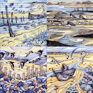 Set van 4 vogelkaarten. Kustkaarten. Norfolk, Suffolk, zeehonden, kluten, boten.