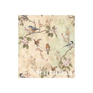 Spring botanical wallpaper with birds and flowering tree branches
