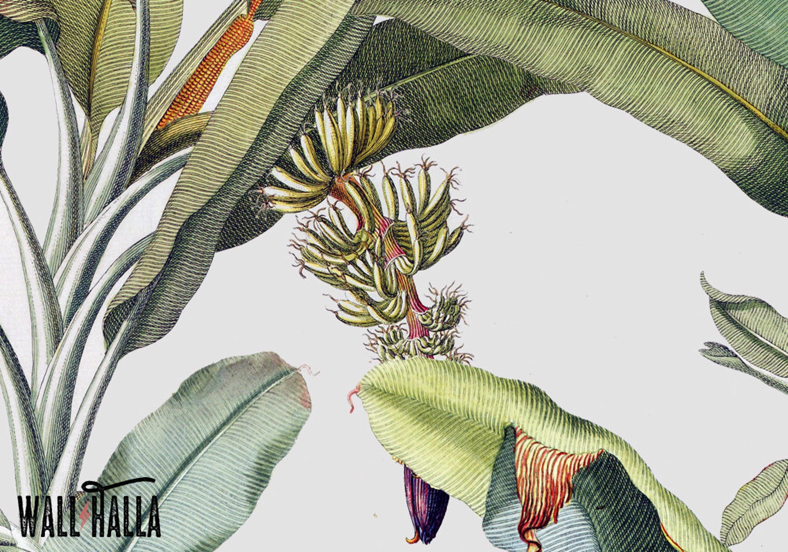 Seamless Self Adhesive Banana Tree Leaf Pattern Wallpaper Etsy