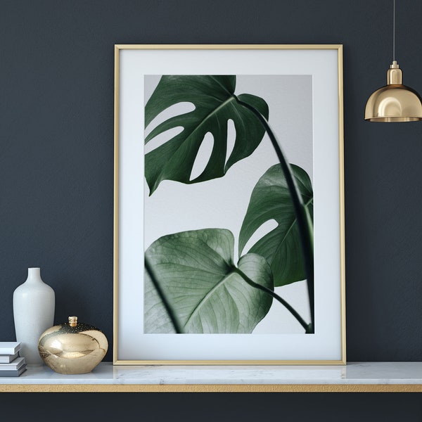 Tropical plant print, tropical wall art, monstera photography, downloadable, tropical printable, monstera download, wall art, wall print