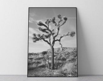 Joshua tree print, black and white photography, joshua tree printable, joshua tree wall art, desert print, digital art print, california