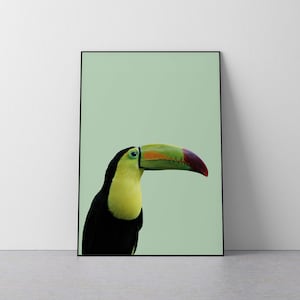 Toucan print, Toucan Poster, Tropical Bird Art, Toucan Wall Art, Tropical Style, Bird Print, Tropical Decor, Toucan Printable, Toucan Art