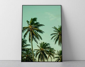 Fotografieafdruk tropische palmboom: kunst aan de muur eiland (digitale download)