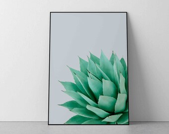 Stampa di agave: fotografia di piante succulente del sud-ovest (download digitale)