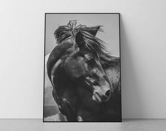 Horse photography, Horse print, Black and white photography, Black horse poster, horse printable, wild horse, wall art print, horse download