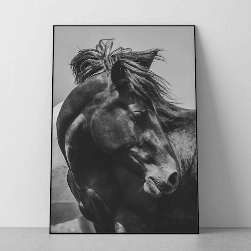 Horse Print Black and White Wilderness Wall Art Horse Etsy