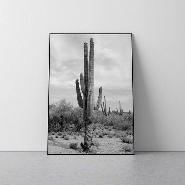 Cactus print, cactus photography, cactus wall art, black and white cactus, digital art, black and white desert, cactus photo, cactus art