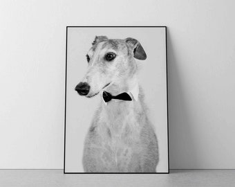 Windhund Fotografie Druck: Schwarzweißer Hund Kunst (Digitaler Download)