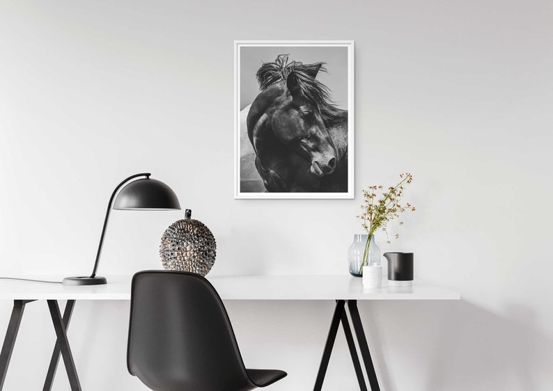 Horse Photography Horse Print Black and White Photography - Etsy