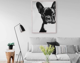 French Bulldog Photography: Black and White Dog Portrait (Digital Download)