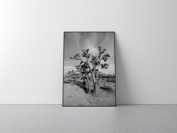 Joshua tree black and white joshua tree joshua tree wall | Etsy
