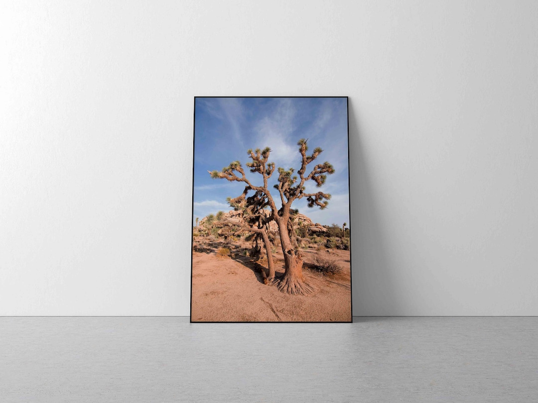 Joshua Tree Photography, Joshua Tree Wall Art, Joshua Tree Photo