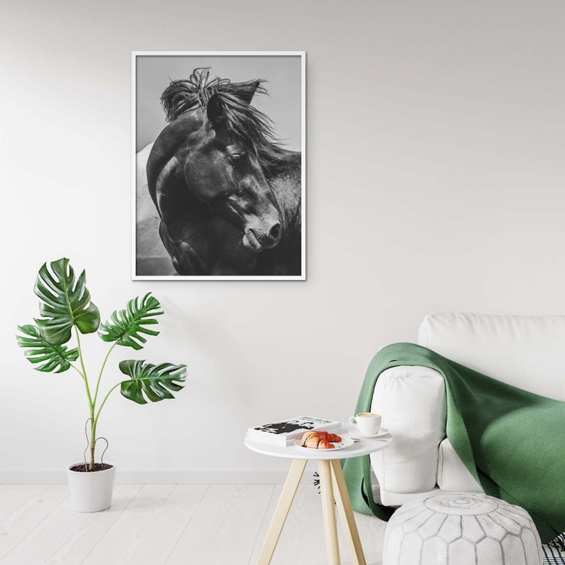 Horse Photography Horse Print Black and White Photography - Etsy