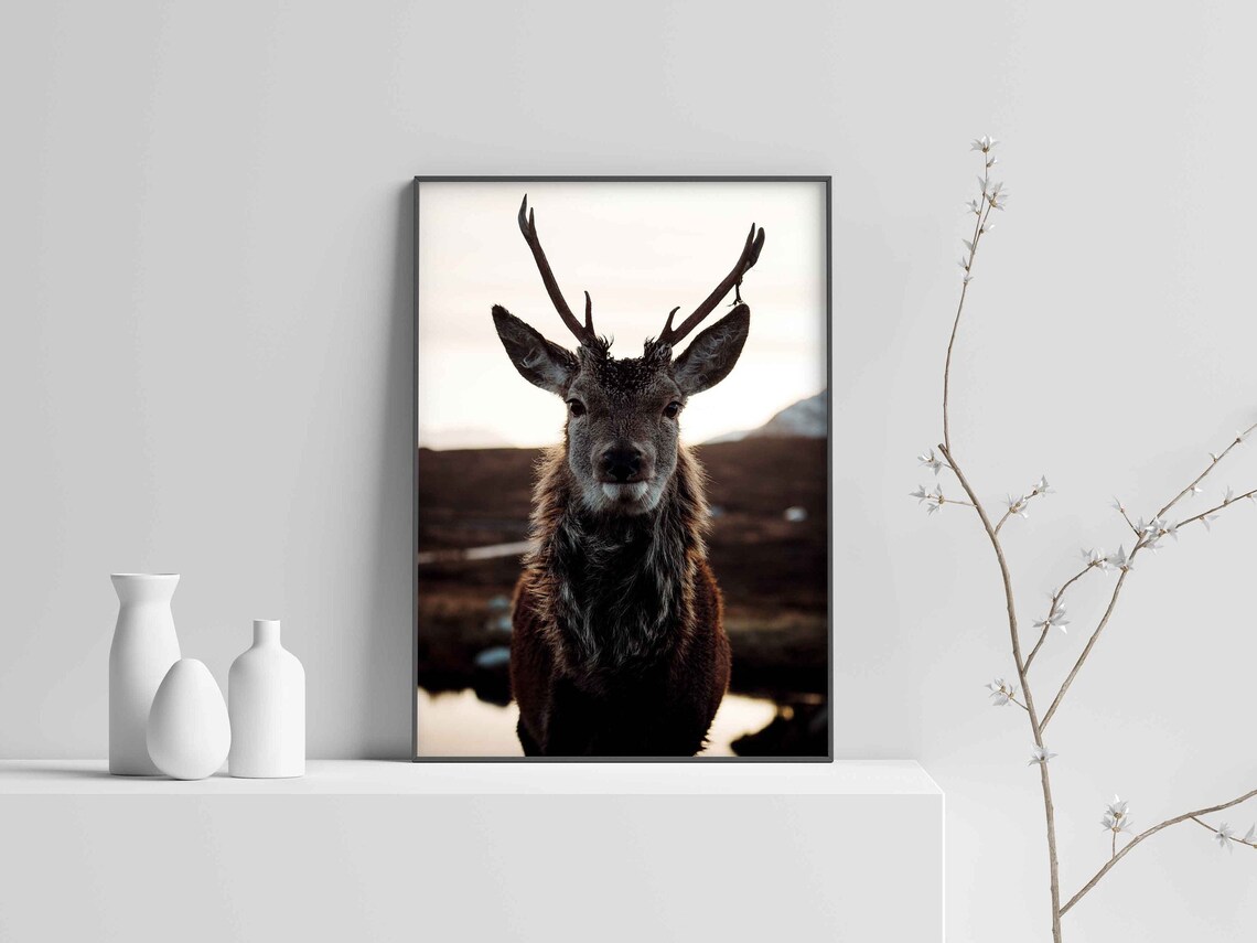 Estampe de l'habitat du cerf rouge des Highlands écossais par Gillian Kyle
