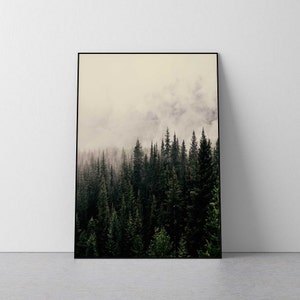Fotografia de floresta, impressão de floresta com neblina, montanha enevoada, arte de parede de árvore, arte de parede de montanha, impressão de floresta, impressão de montanha, 18x24, 24x36