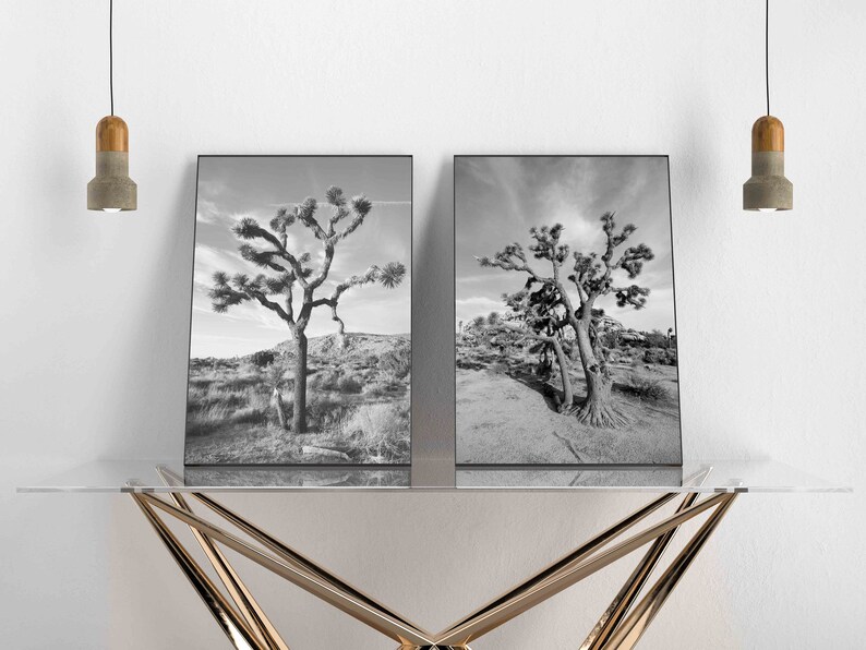 Joshua Tree Print Black and White Photography Joshua Tree Etsy